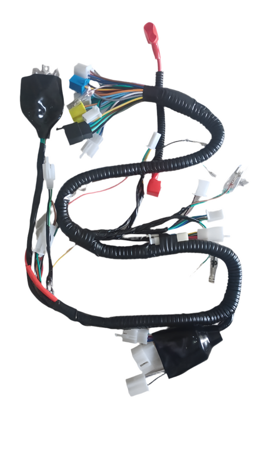 Wiring loom for velocity/DX CG-150