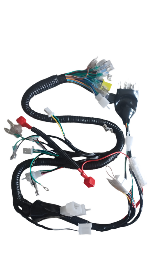 Wiring loom for velocity/DX CG-150