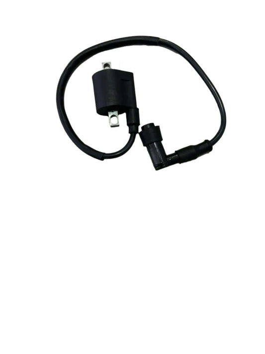 Big Boy Velocity CG-150 Ignition Coil