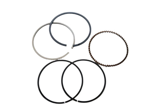 Big Boy Velocity CG-150 piston rings