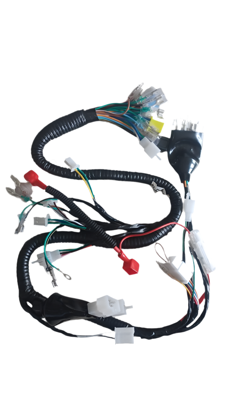 Wiring loom for velocity/DX CG-150