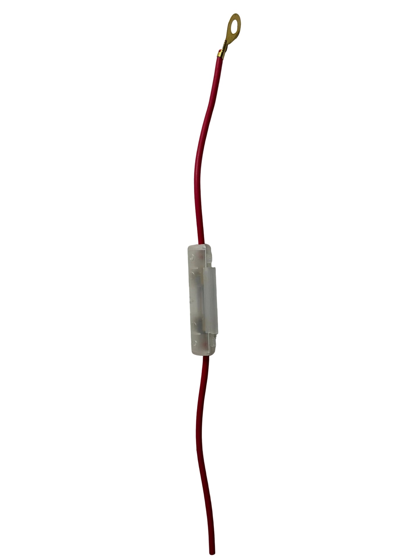 Fuse with case and wire