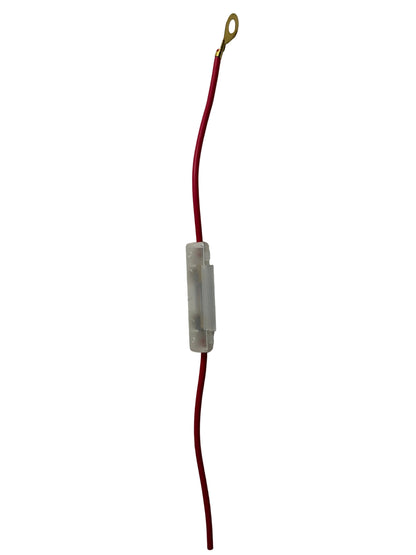 Fuse with case and wire