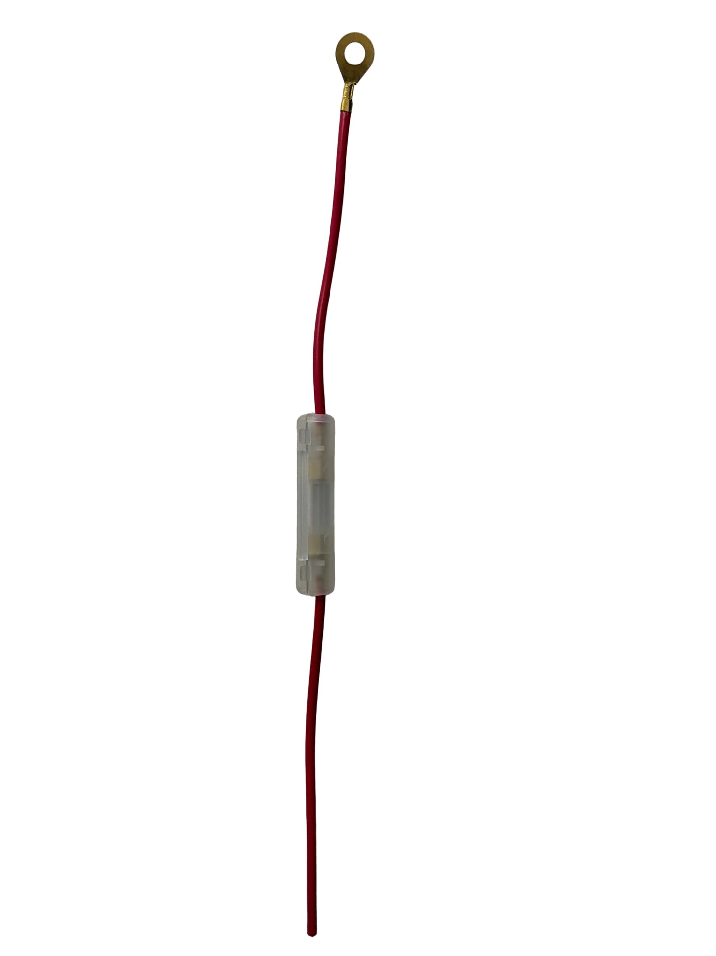 Fuse with case and wire