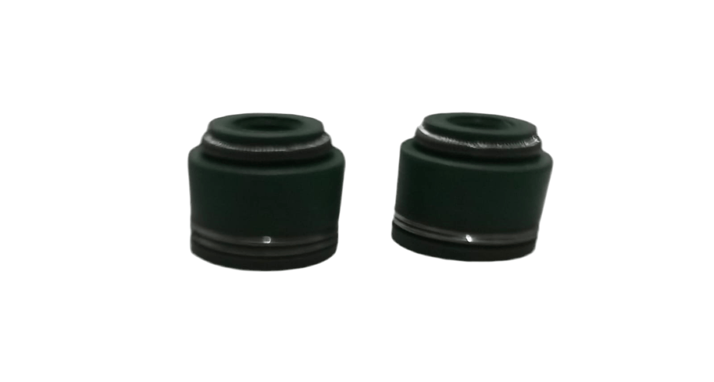 Valve stem seals CG engine