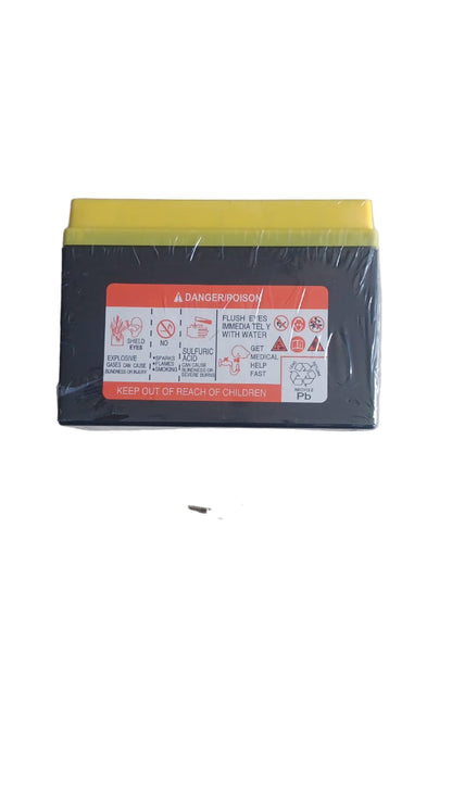 Big boy velocity /DX CG-150 Battery 12v Cargo